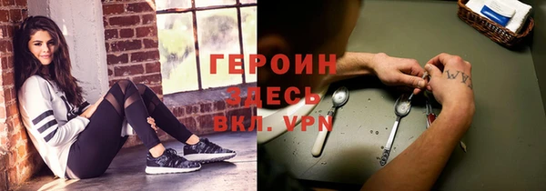 прущие грибы Сосновый Бор