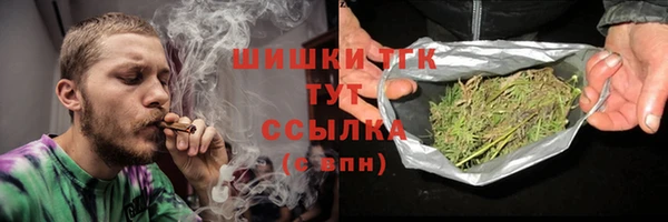 прущие грибы Сосновый Бор