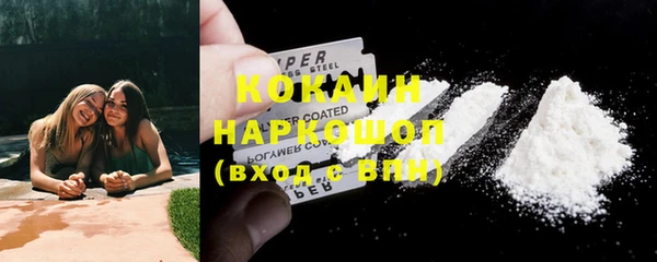 прущие грибы Сосновый Бор