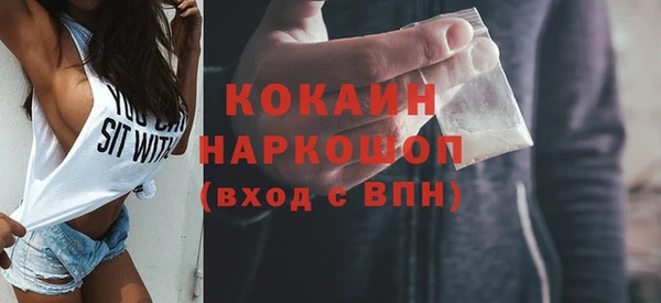 прущие грибы Сосновый Бор