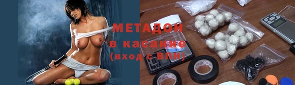прущие грибы Сосновый Бор